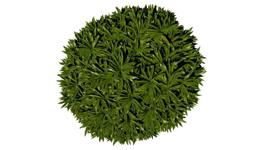 BuiB10