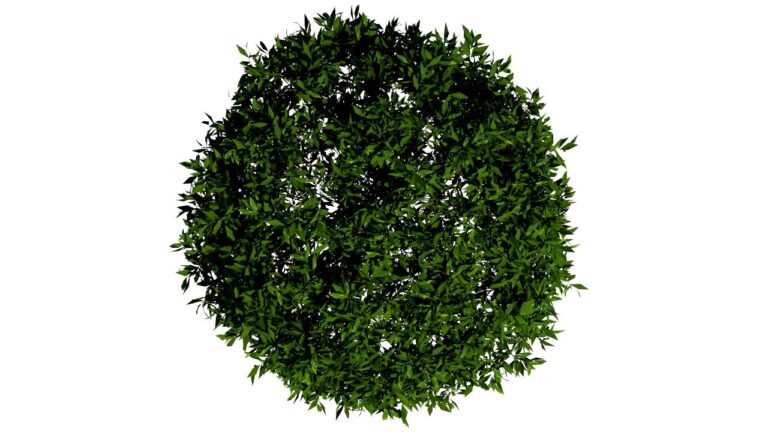 BuiB3