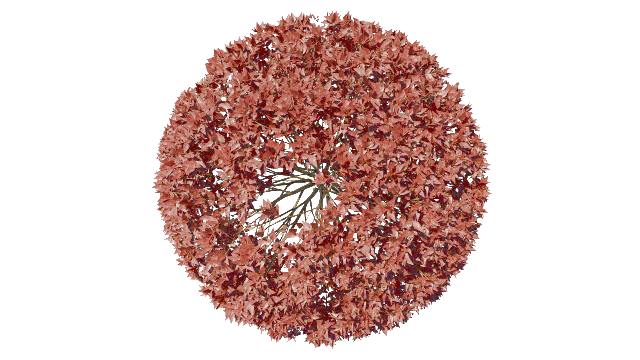CBuiA1