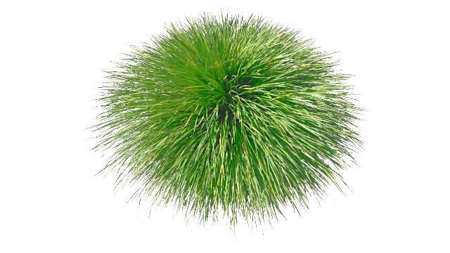 CBuiA29