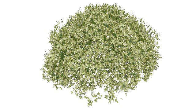 CBuiA4
