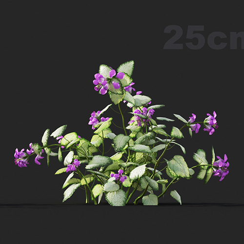 V41105
