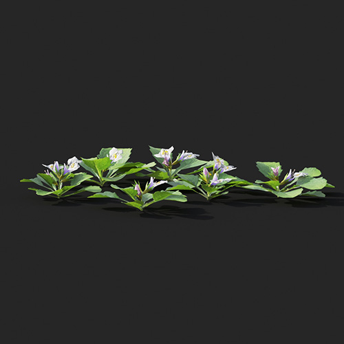 V41120