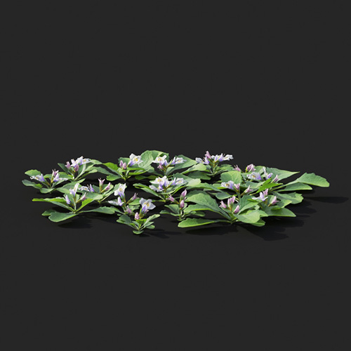 V41122