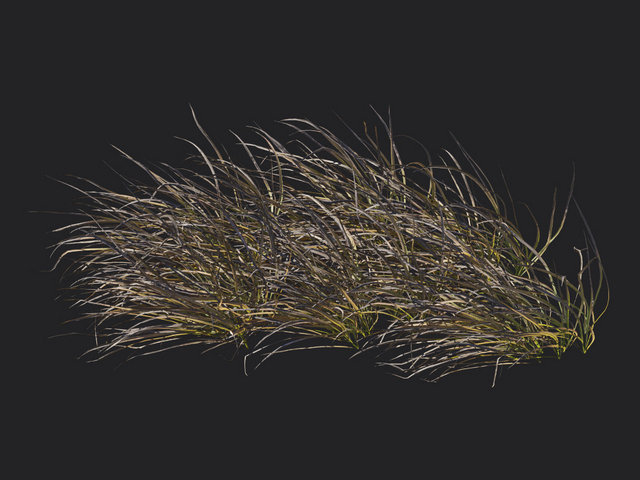 V45B49