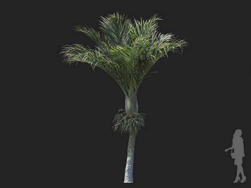 V71B64