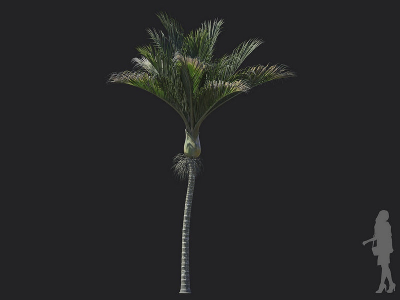 V71B67