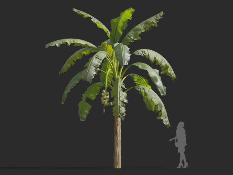 V72B50