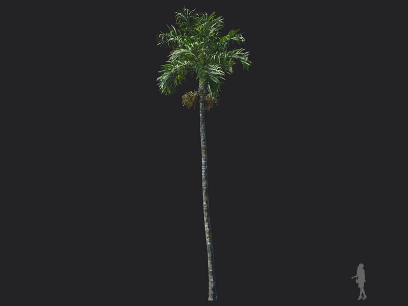 V97A7