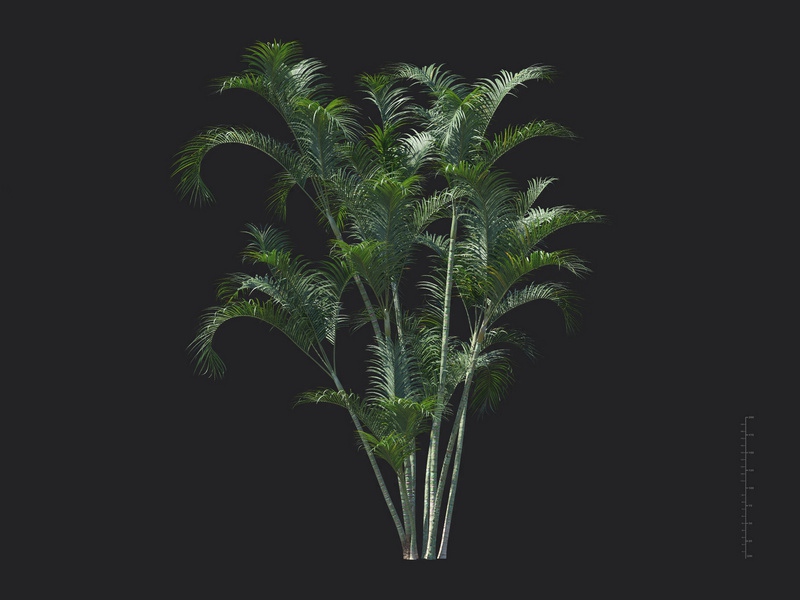 V98A33
