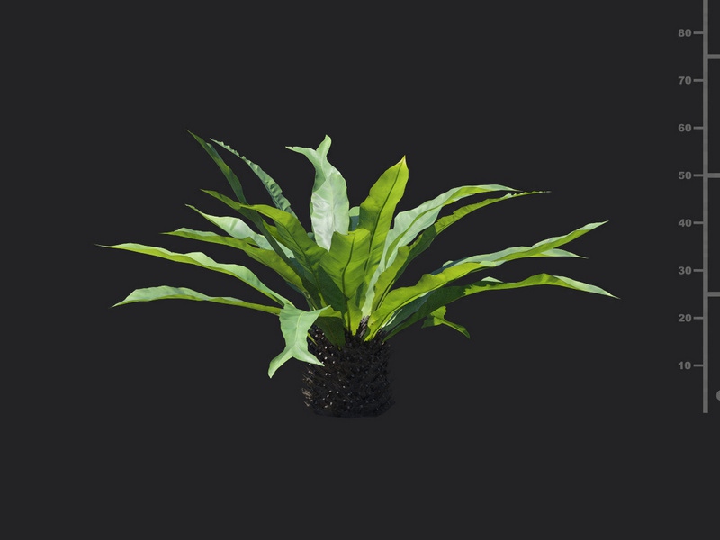 V98A51