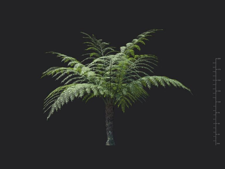 V98A67