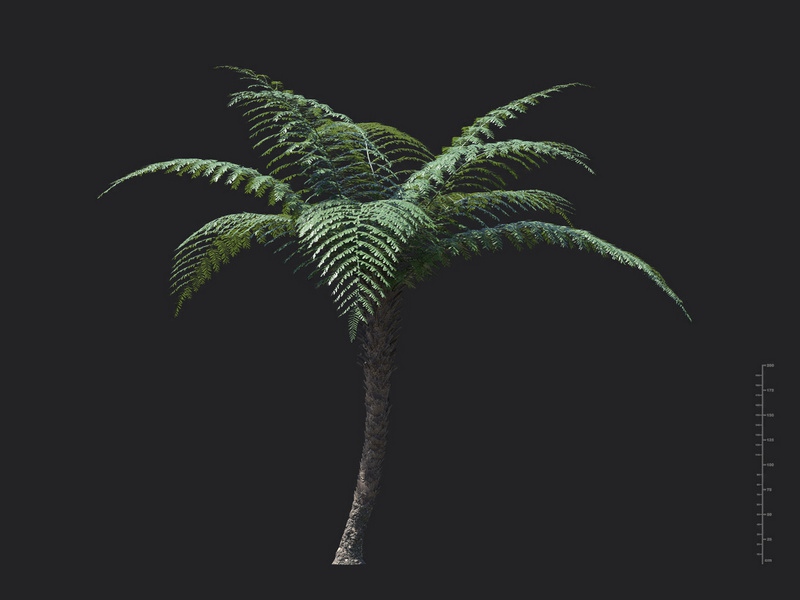 V98A7