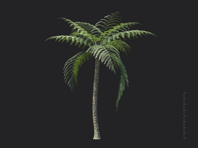 V98A72