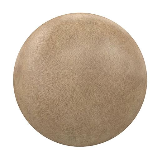 dagiay7