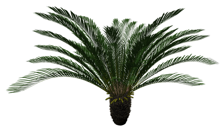 thientue5