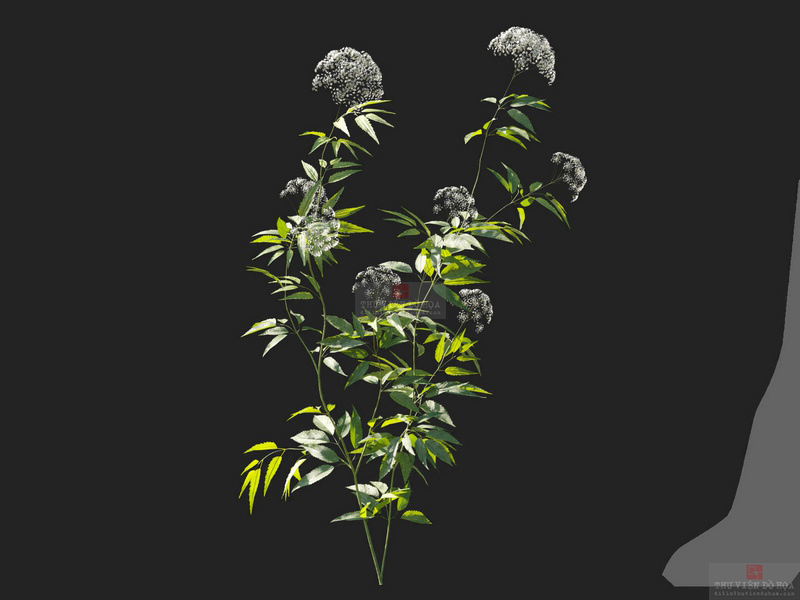 3dv105a8