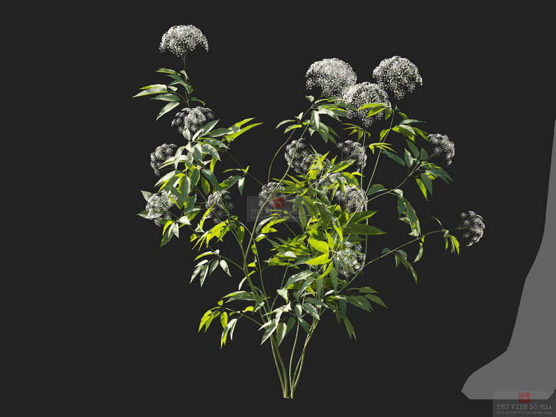 3dv105a9
