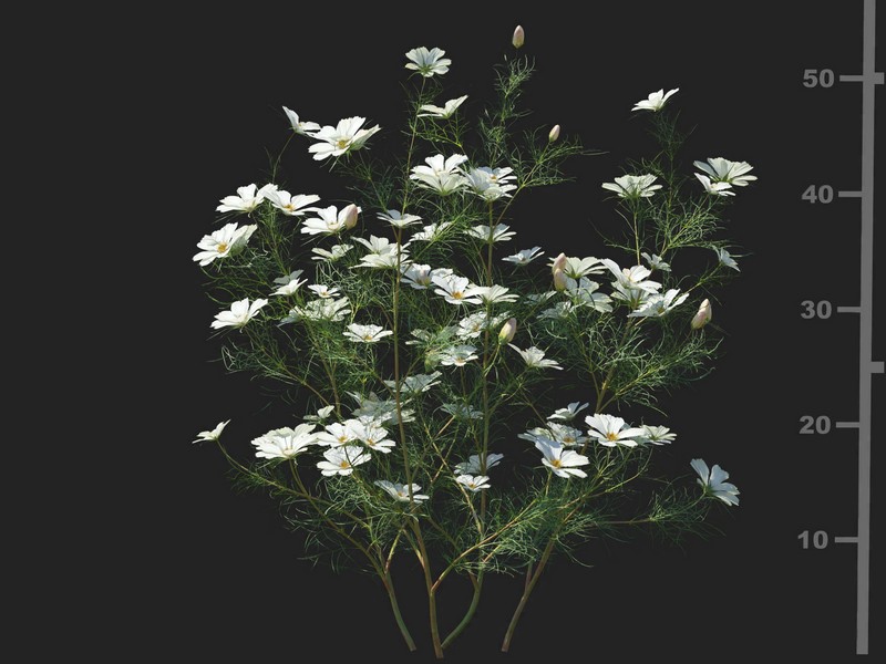 3dv91a30