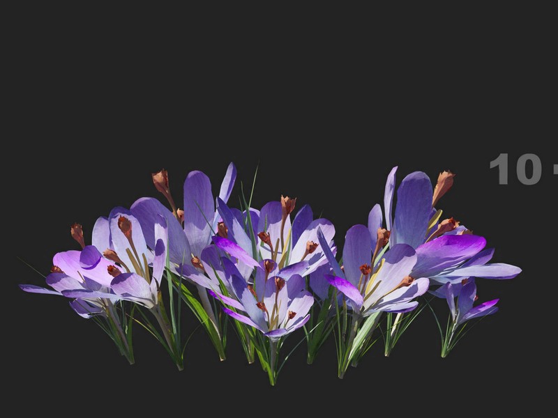 3dv91a36