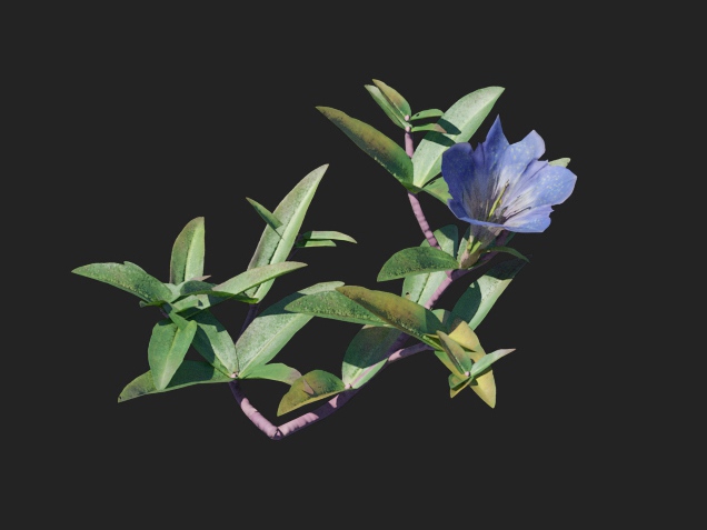 3dv91a43