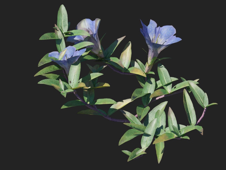 3dv91a44