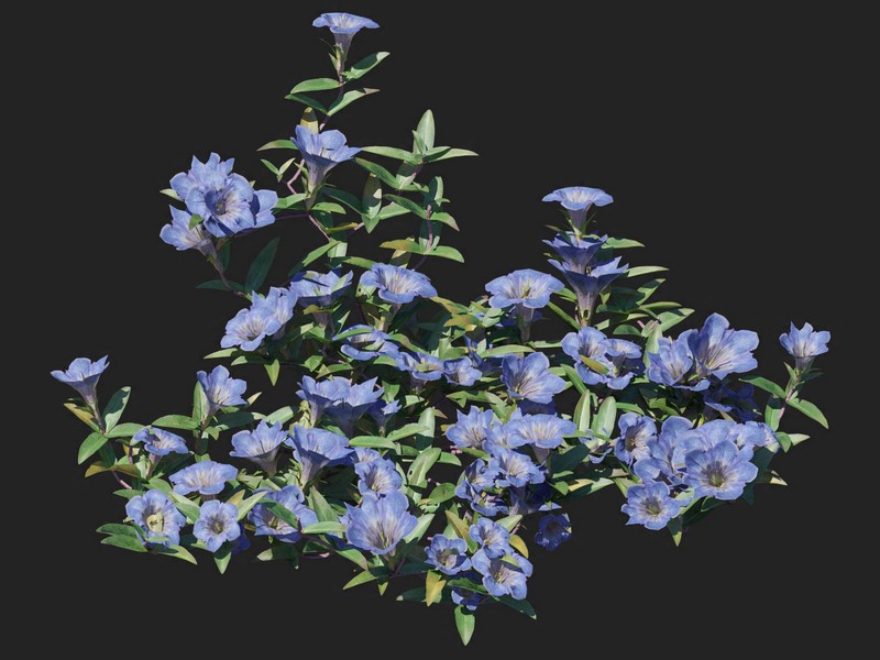 3dv91a48