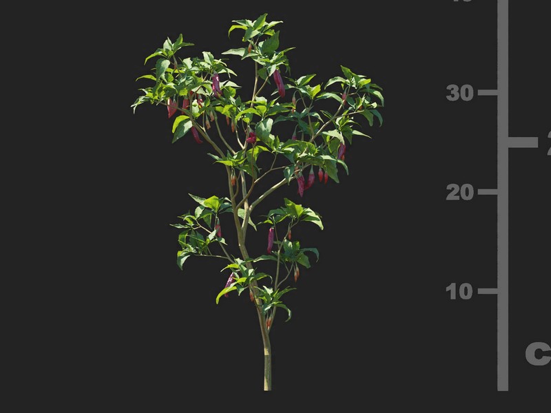 3dv93a39