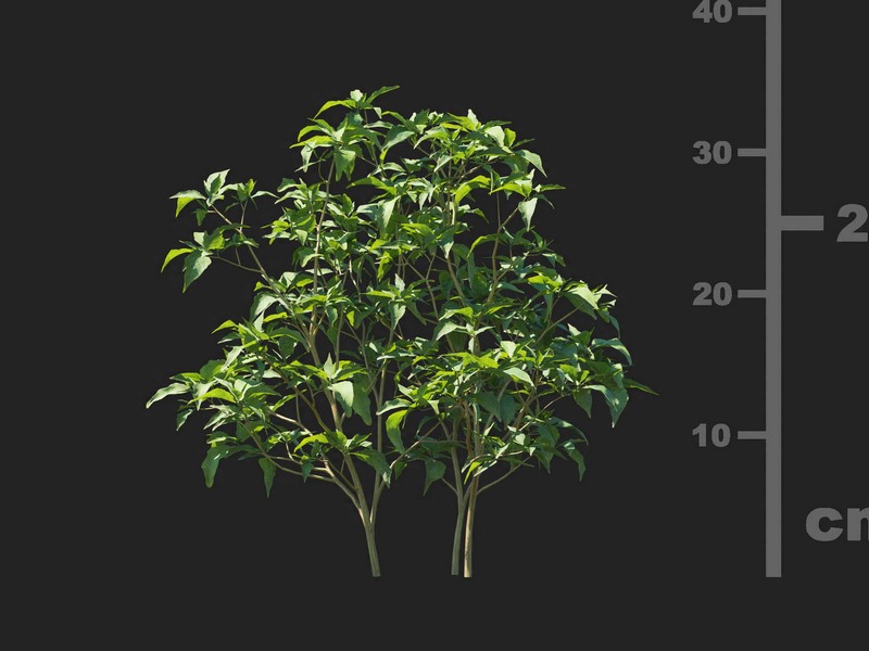 3dv93a45