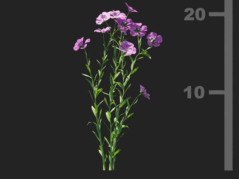 3dv93a90