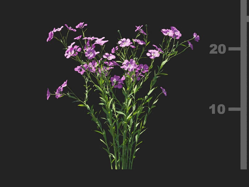 3dv93a95