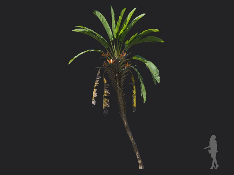 3dv97a71