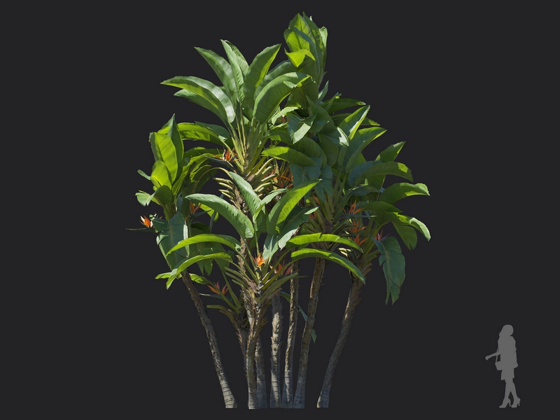 3dv97a72