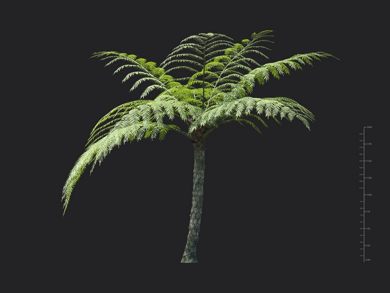 3dv98a68