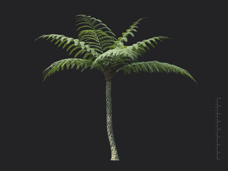 3dv98a69